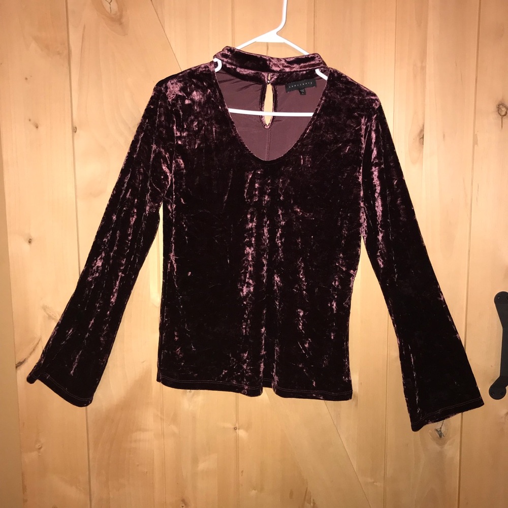 Gorgeous Shimmery Crushed Velvet Top - Large - EUC